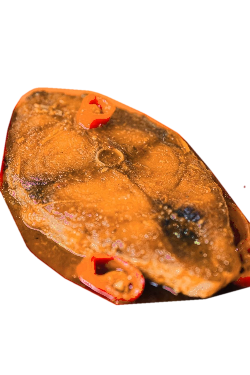 Assam Fish